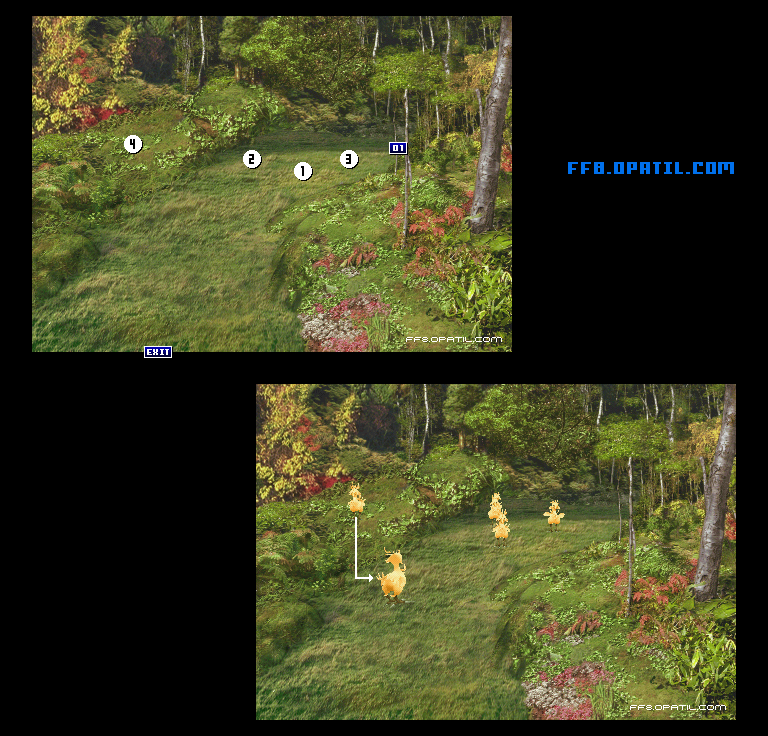 チョコボの森（遊びの森）のマップ画像1：ファイナルファンタジー8 完全攻略